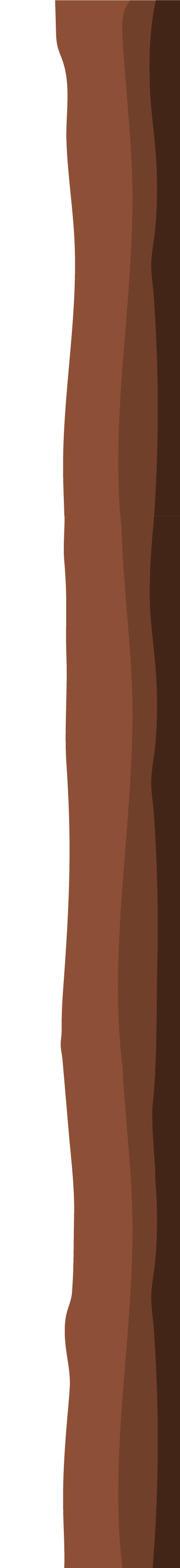 Tronco_sfondo_radici-01-01